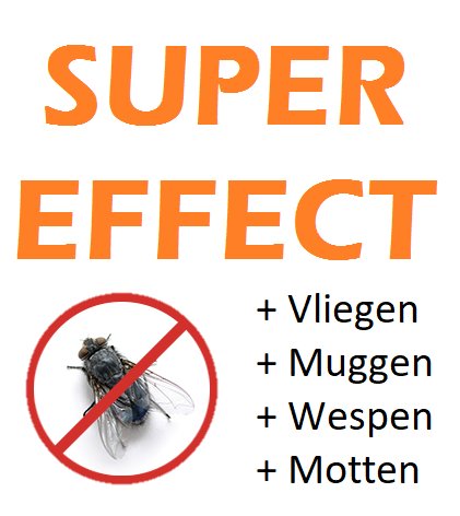 x one insecticide aerosol