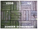 mosa ontmosser