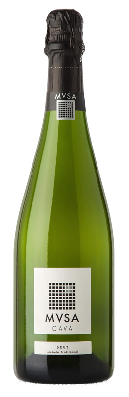 cava mvsa