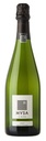 cava mvsa