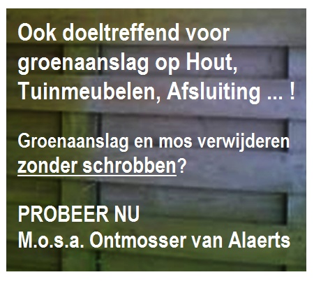 mosa tuin3