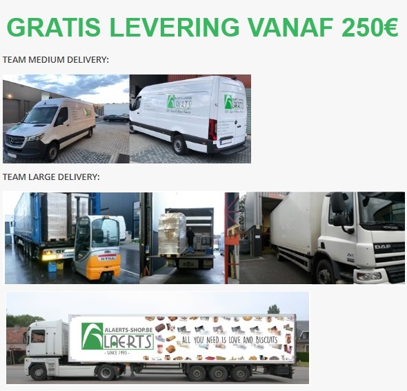 cnv1