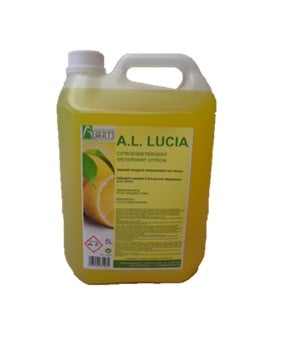 Detergent Budget Citroen 5L