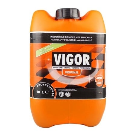 Vigor 10L