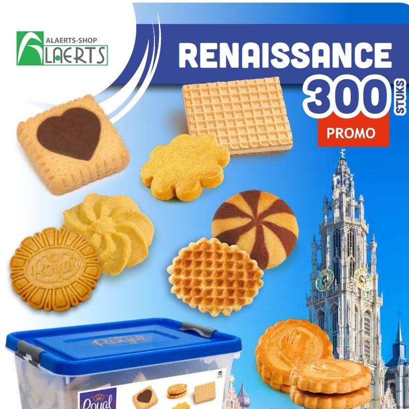 Renaissance Box Mix 300pcs