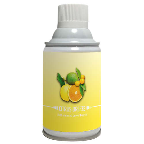 Citrus luchtverfrisser 243ml x 1 busje